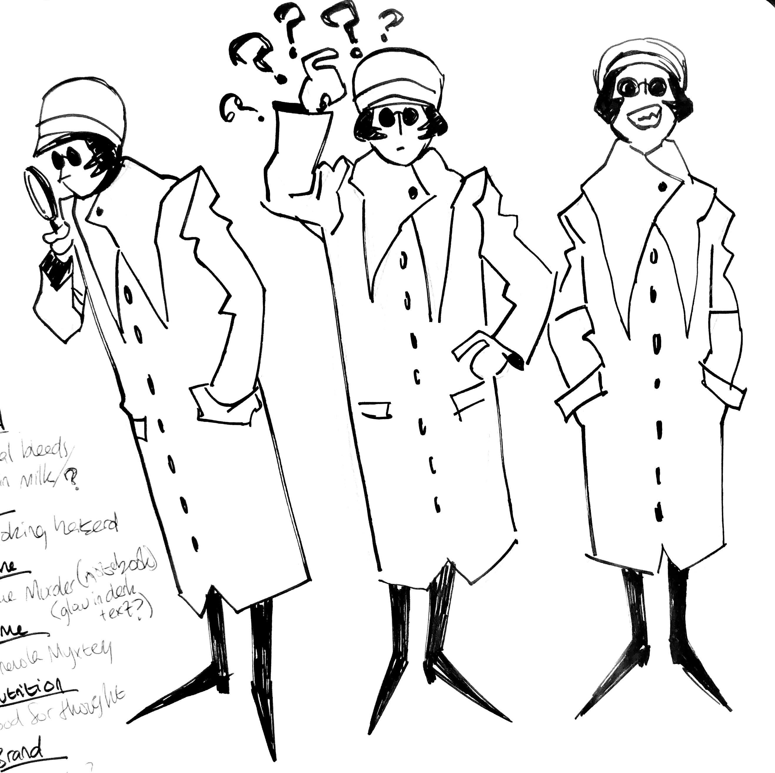 Miss Myster Concept